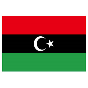 利比亞COI清關(guān)認(rèn)證合約介紹